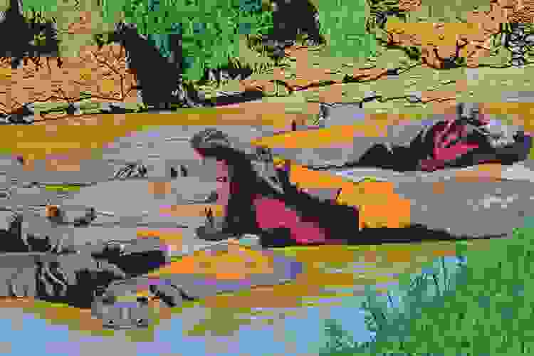 Hippos at the Waterhole